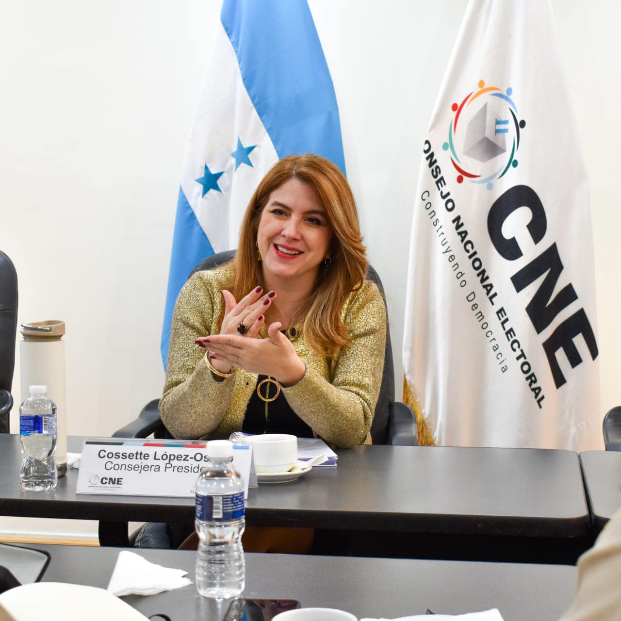 Honduras Faces Warnings: Institutional Risks, Electoral Irregularities Possible